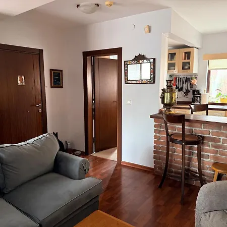 Designer Townhouse In Arnavutkoey, On The Bosphorus